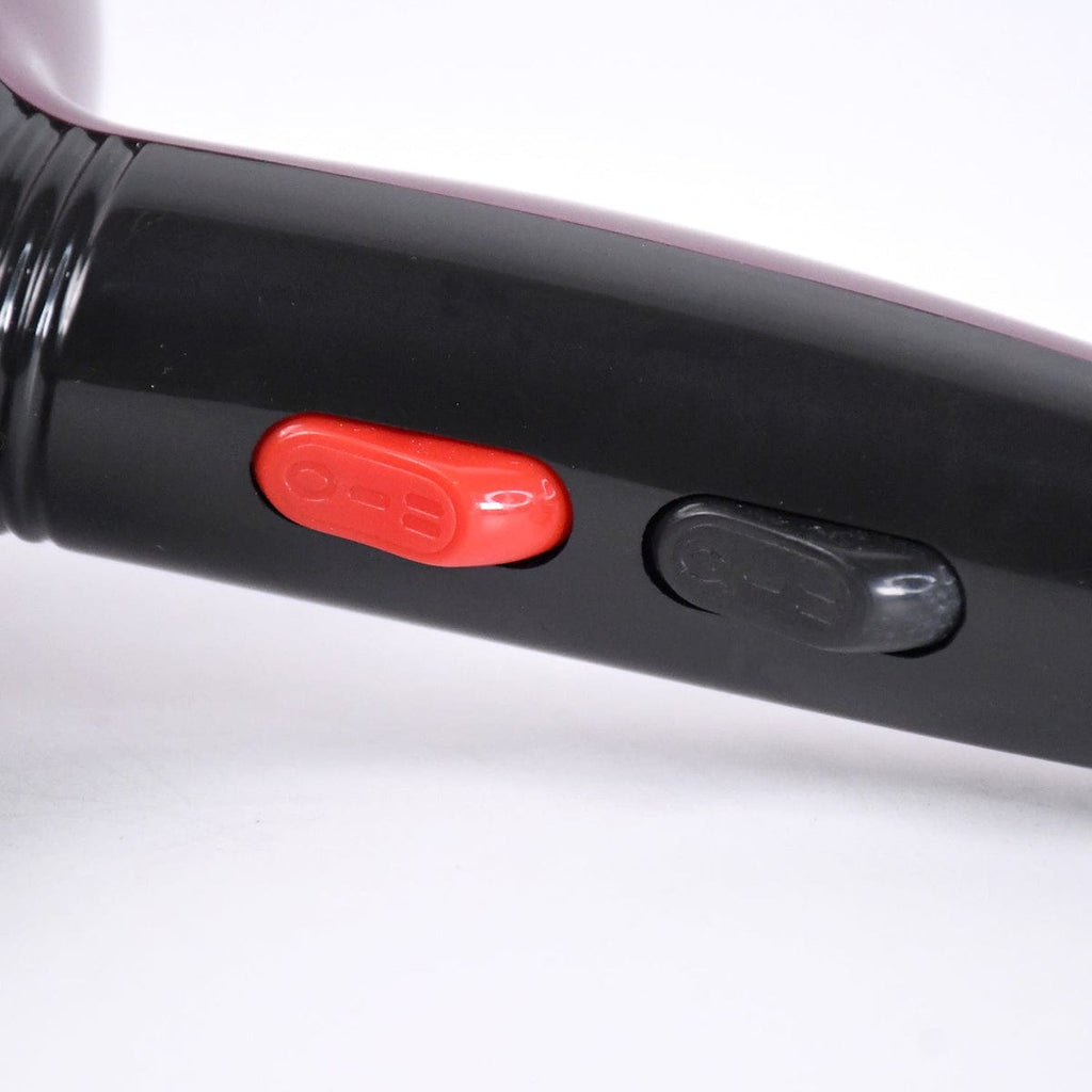 Professional High Power Multi Purpose Hair Dryer Salon