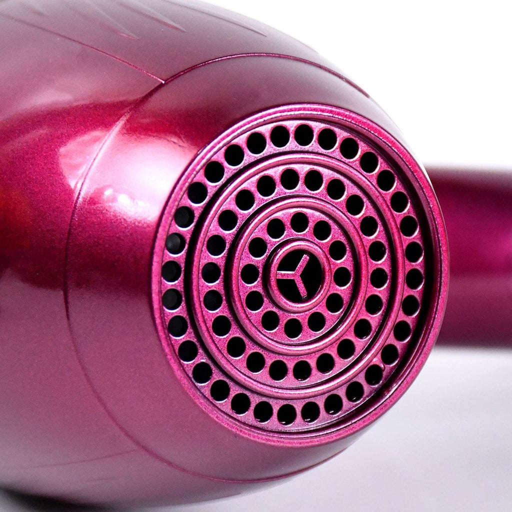 Professional High Power Multi Purpose Hair Dryer Salon
